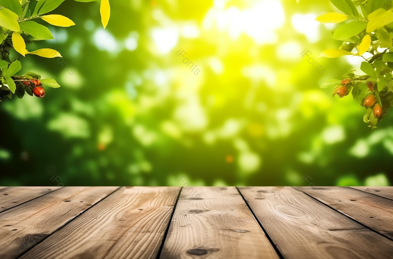 太阳下的卫矛树枝头摄影图,高清,摄影图,摄影图片,图片大全,摄影图免费下载